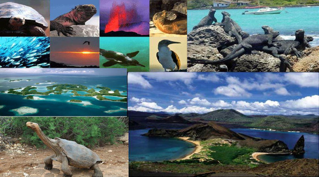 galapagos y diferente animales